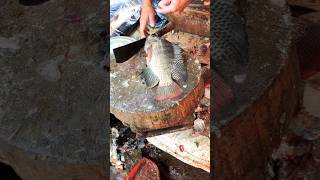 Incredible Tilapia Fish Cutting Skills In Bangladesh Local Fish Market😱 shorts [upl. by Burl]