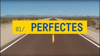 ELS CATARRES  PERFECTES amb lletra  Tots els meus principis 2018 [upl. by Leirad743]