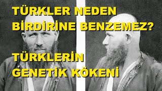 Türklerin Genetik Kökeni [upl. by Assenay]