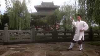 Wudang Tai Chi 13 [upl. by Ramsa]