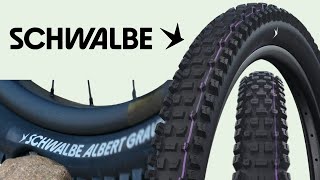 Schwalbe Albert Radial First Look [upl. by Nycila319]