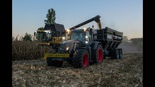 Maïs 2018  CR9080  Fendt 720 et Transbordeur Pérard  SARL Artaël [upl. by Rokach]