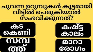 ചുവന്ന ഉറുമ്പുകൾ കൂട്ടമായി വീട്ടിൽ പെരുകിയാൽ സംഭവിക്കുന്നത്Gk malayalamquiz questionampanswers [upl. by Nitsuj]