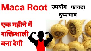 Maca root use benefits and side effects in hindi  maca root khane ke fayde  Renatus Nova Wellness [upl. by Einnor992]