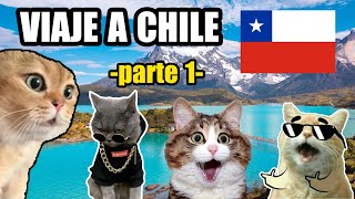 VIAJE A CHILE parte 1 meme de gatos [upl. by Jeanne]