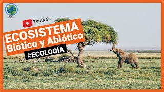 🍃 ¿Qué es un ecosistema Y concepto de Biocenosis y biotopo  ecologia 🌱 [upl. by Calabresi]