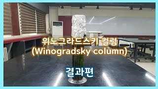 위노그라드스키 컬럼Winogradsky column 결과편 [upl. by Bamby]