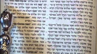 Rosh Hashanah Torah Reading  first day  Rabbi Weisblum קריאת התורה ראש השנה יום א [upl. by Demb]