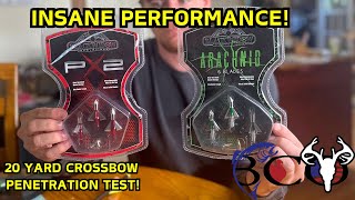 Black Widow PX2 vs Arachnid Broadhead CROSSBOW SHOWDOWN [upl. by Jamey709]