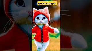 Sajna ve sajna hindi song cat Dance 👌 🔥  shorts youtubeshorts trending dance music indiansong [upl. by Ambros244]