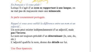 Orthographe des noms et adjectifs de nationalité en français  FLE [upl. by Bigod516]