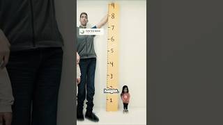 What is the height of the smallest and largest human in the world shorts youtubeshorts facts [upl. by Olivette376]