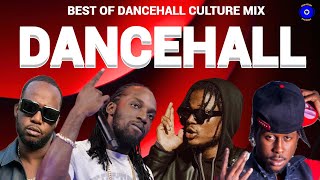 Dancehall Mix 2023 Best Of Dancehall Culture Mix Teejay Mavado Masicka Popcaan Vershon [upl. by Boaten933]