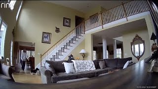 Earthquake captured on home cameras the moment it shakes NJ [upl. by Ynaffik]