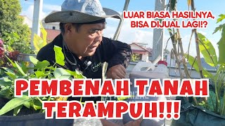 Cara Aplikasi Pembenah Tanah Insektisida Fungisida Sekaligus [upl. by Carmella]