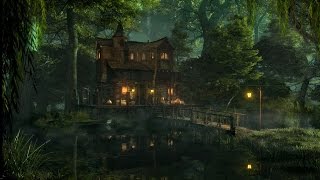 Swamp Sounds at Night  Frogs Crickets Light Rain Forest Nature Sounds [upl. by Maxy]