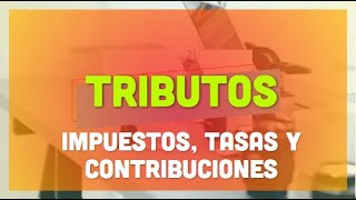 Tributos  Impuestos Tasas y Contribuciones [upl. by Neelhtak45]