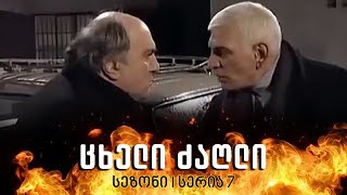 ცხელი ძაღლი  სეზონი 1 სერია 7 [upl. by Torp]