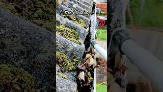 Gutter Cleaning music guttering gutterclean cleaning gutter viral [upl. by Philbrook]