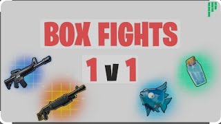 Fortnite box fight [upl. by Karlow108]