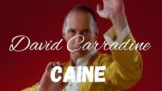 DAVID CARRADINECaine [upl. by Rebba]