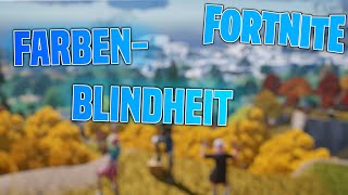 Fortnite FARBENBLINDHEIT einstellen Tutorial  SABO [upl. by Childs]