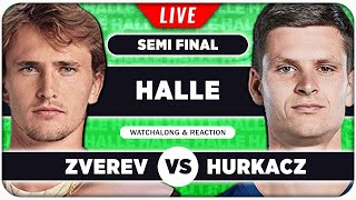 ZVEREV vs HURKACZ • ATP Halle 2024 SF • LIVE Tennis Watchalong Stream [upl. by Aihpledalihp]