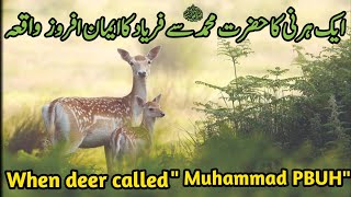 When Deer called quotMuhammad PBUHquot  ek hirni aur Hazrat Muhammad SAW ka waqia  story of deer [upl. by Swec]