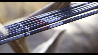 Why the Easton 4mm FMJ is the Best Hunting Arrow [upl. by Antsirhc]