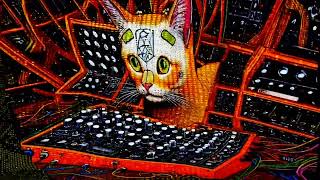 steRnhageLtekattakVIII  meOwMeLtdoWn teknohardtechnoset  visuals [upl. by Lema]