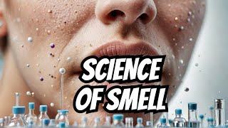 The Surprising Science of Smell [upl. by Hardunn]