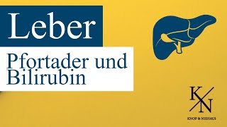 Die Leber verständlich erklärt von Pfortader bis Bilirubin [upl. by Duleba]