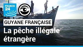 Guyane française  le fléau de la pêche côtière illégale étrangère • Les Observateurs [upl. by Timmie]