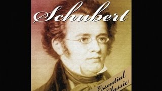 The Best of Schubert [upl. by Lihcox]