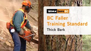 BC Faller Training Standard  Thick Bark 7 of 17 [upl. by Anikat598]