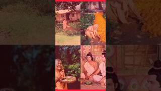 Sabri magan hai ram Bhajan mein ramytshorts shortvideo sabri love rambhajan love [upl. by Ereveniug122]