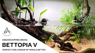 Aquascape Ideas Shallow tropical pondstyle riparium bettafish tank Bettopia V [upl. by Dilan]