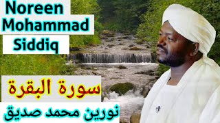 سورة البقرة نورين محمد صديق Surah Al Baqarah Sheikh Noreen muhammad siddique [upl. by Towbin]