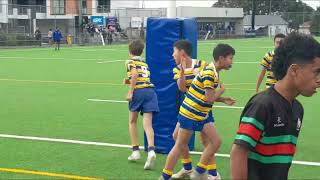 SPC U13R GOLD vs WAITEMATA PANTHERS Score 5924 Fifth game of the season 2024 [upl. by Yrekaz]