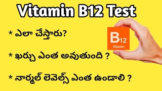 Vitamin B12 Test in Telugu  విటమిన్ బి 12 రక్త పరీక్ష ఎలా చేస్తారు [upl. by Errol]