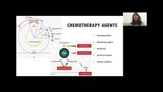 Surgical Oncology  Neoadjuvant and Adjuvant Chemotherapy in Breast Cancer [upl. by Ardnuaed3]