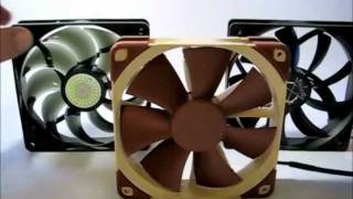 Noctua NFF12 PWM Sound CFM testing [upl. by Buchanan]