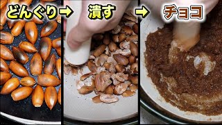 ドングリからチョコレート作ってみた【ENG SUB】 [upl. by Pearman]