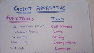 Function of Cell Organelles  Mnemonics Technic  Biology  Neet2021  Cell [upl. by Akeyla]