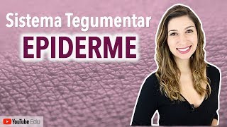 Epiderme Sistema Tegumentar 24  Anatomia etc [upl. by Adnohser]