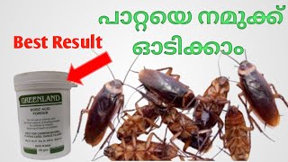 How to kill cockroaches with Boric acid powder MalayalamGeos Family Vlogs  13 [upl. by Cybil588]