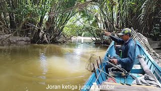 Mancing di sungai kecil Sampai tiga joran di sambar ikan berbisa [upl. by Conners430]