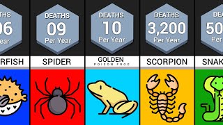 Comparison Deadliest Animals [upl. by Janerich]