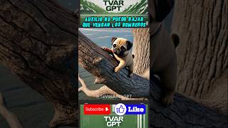 Perrito atrapado en un árbol🌳 shortsviral mismascotas babyanimal paramascotas mascotas babypet [upl. by Ciccia]