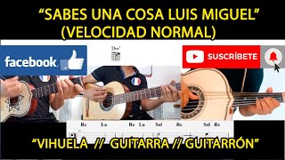 SABES UNA COSA LUIS MIGUEL  VIHUELA  GUITARRON  GUITARRA [upl. by Auhsej887]